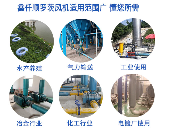 高压罗茨91免费版安装黄色(图5)
